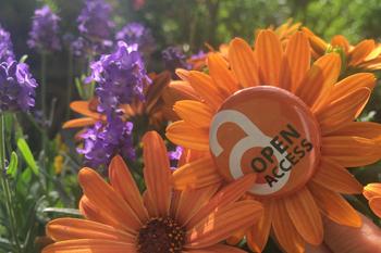 Open Access Sommer