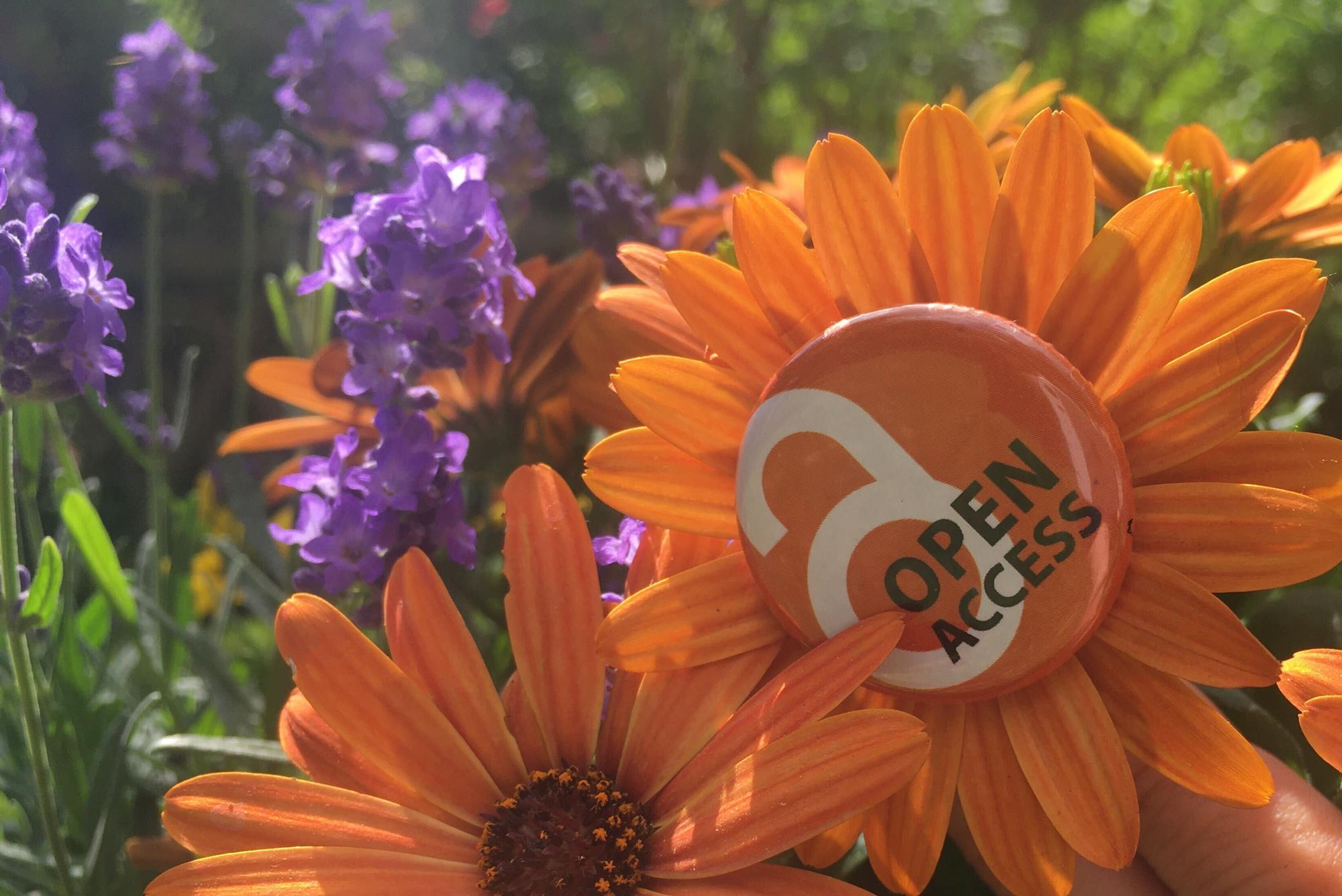 Open Access Sommer
